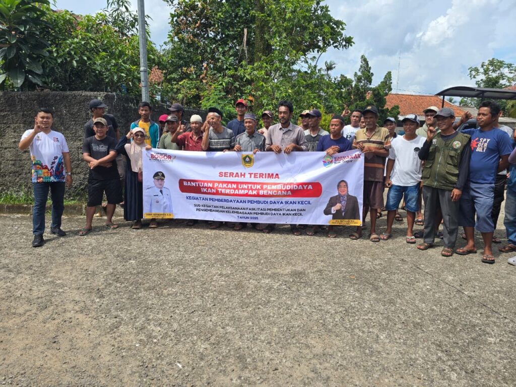 file-1763969766885-d8d42870-29bd-4e2b-82ae-523fb9f139b8