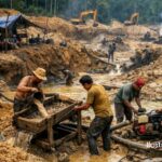 Polish_20260125_223526143