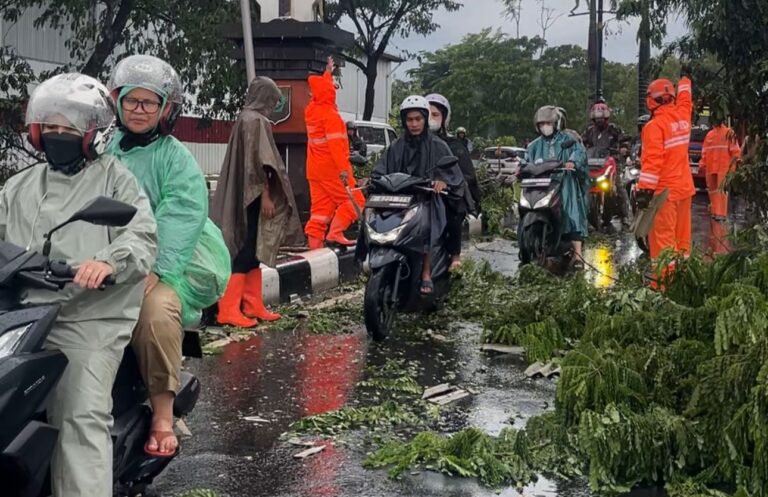 file-1770934715374-IMG_6942