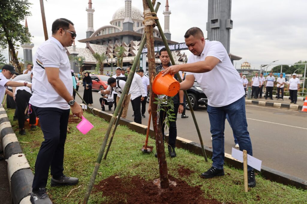 file-1771391297977-IMG_7375